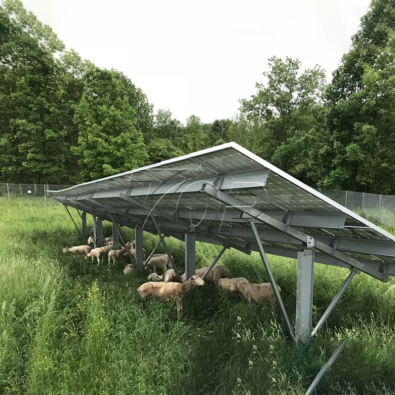Solpaneler til landbrug: Hjælper landbrugets energibæredygtighed til et højere niveau!